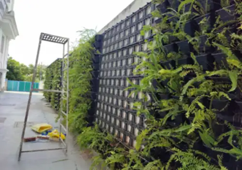 Lawns & Plantation Services in Gandhi Nagar